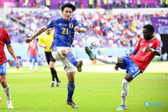 来网坛的希 来网坛的希